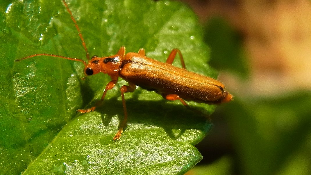 a0152692_8234351.jpg