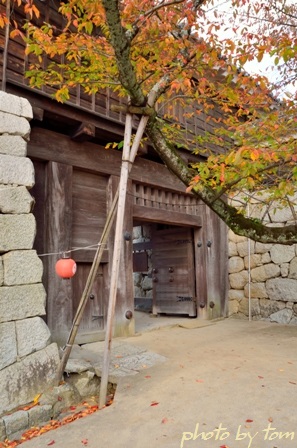 四国の旅～愛媛「松山城」門を抜けて本丸へと_b0155692_2374717.jpg