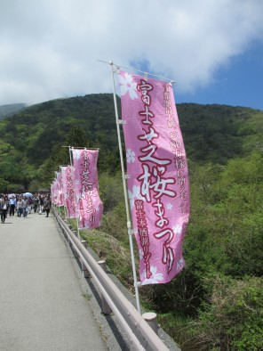富士芝桜まつり2013行ってきました！_c0223192_2111241.jpg