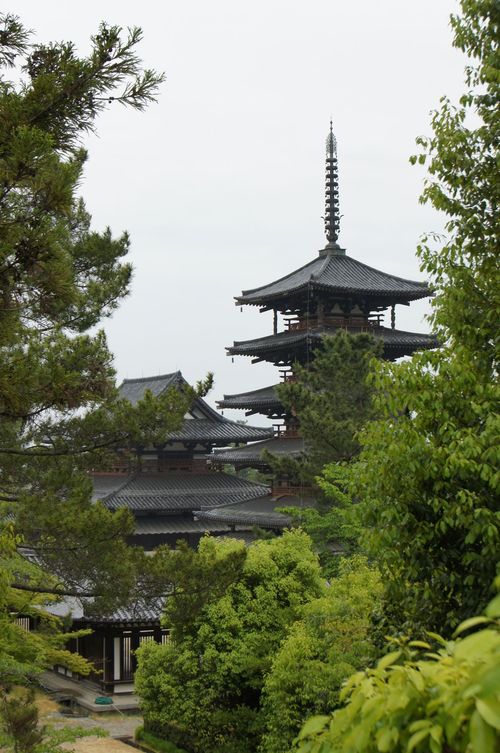 大阪出張 & （4）法隆寺と中宮寺_f0165495_2029444.jpg