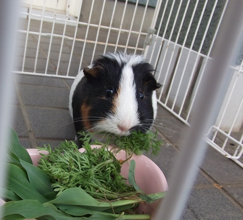 c0241498_22553536.jpg