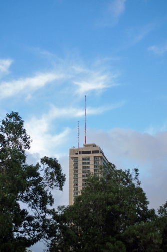 f0003598_1631719.jpg