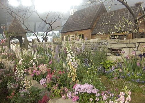 国バラ　２０１３年　「ターシャの素足の庭」 写真バージョン_c0204801_22121553.gif