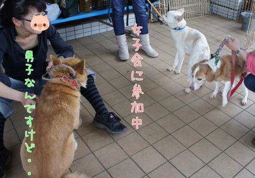 a0285205_14524438.png