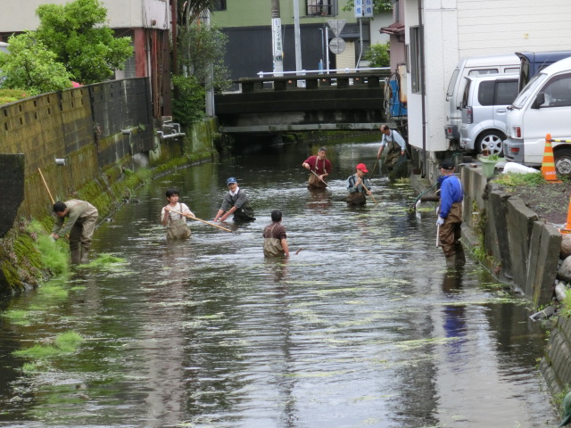 今年も湧き水が豊富 田宿川の川そうじ_f0141310_758477.jpg
