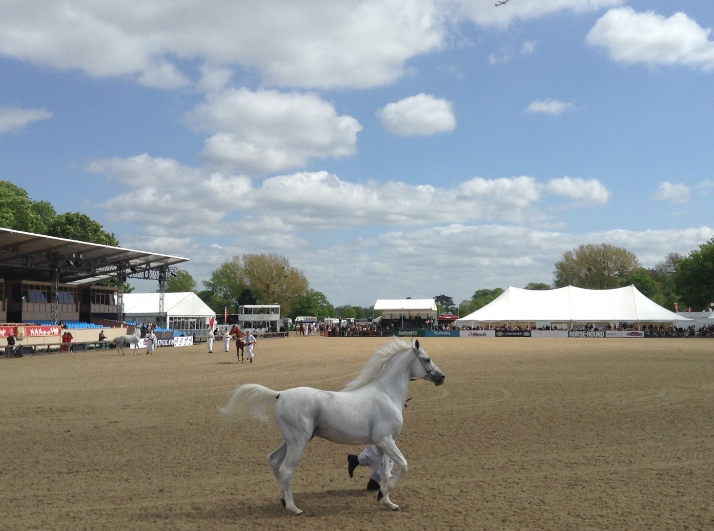 Fun at Royal Windsor Horse Show_c0060412_031158.jpg