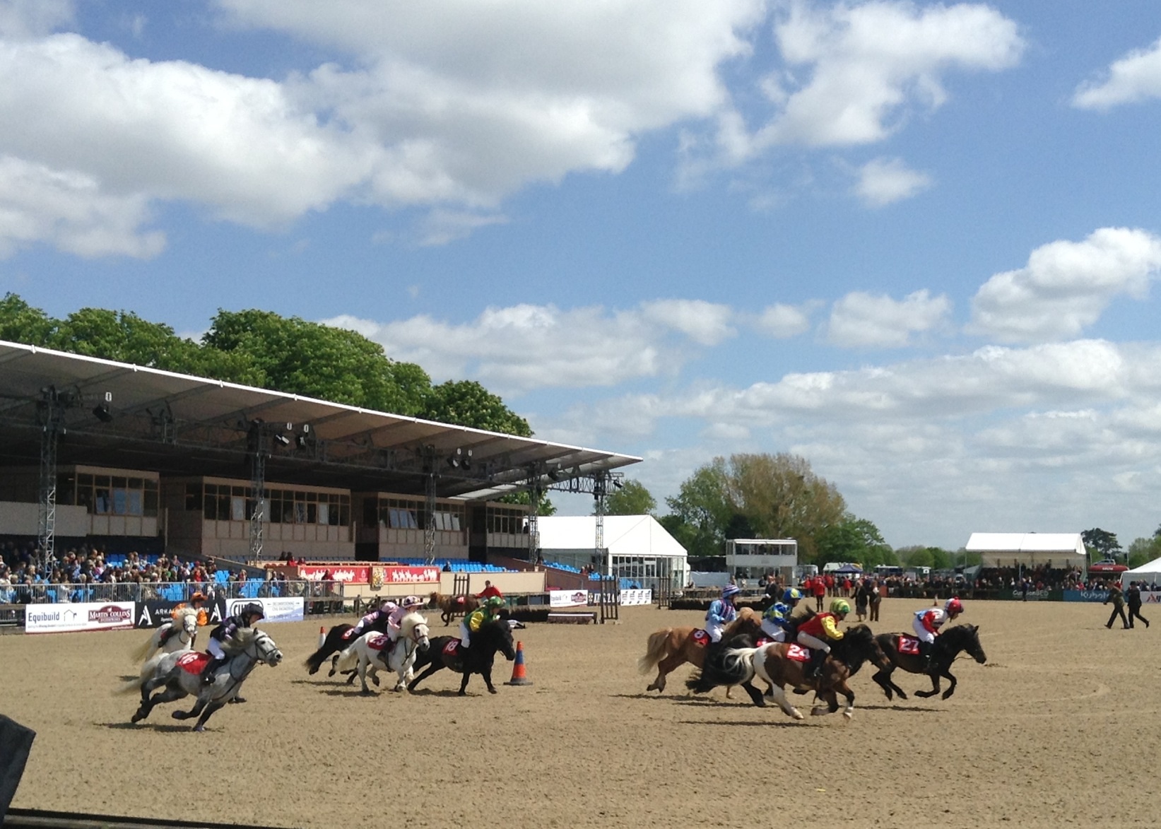 Fun at Royal Windsor Horse Show_c0060412_0324030.jpg