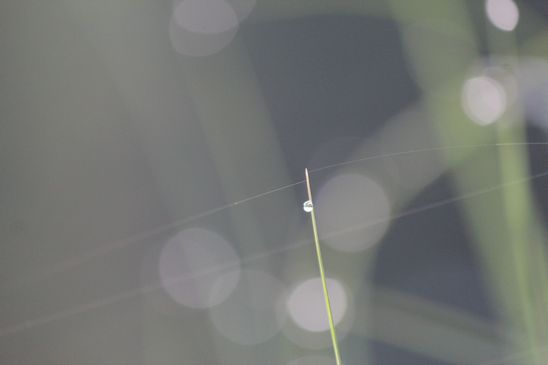 d0065113_1725523.jpg