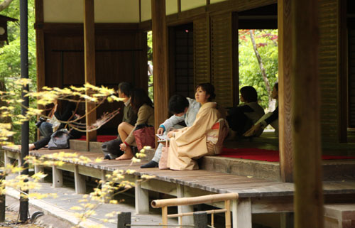 大徳寺　高桐院　青もみじ_e0048413_20584467.jpg