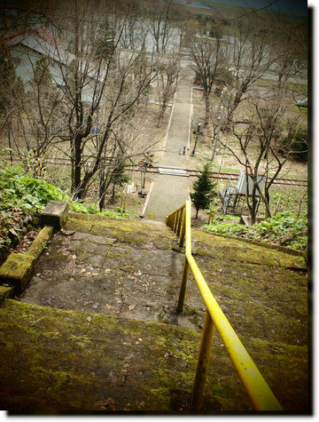 浦臼神社のカタクリ_a0114514_19151241.jpg