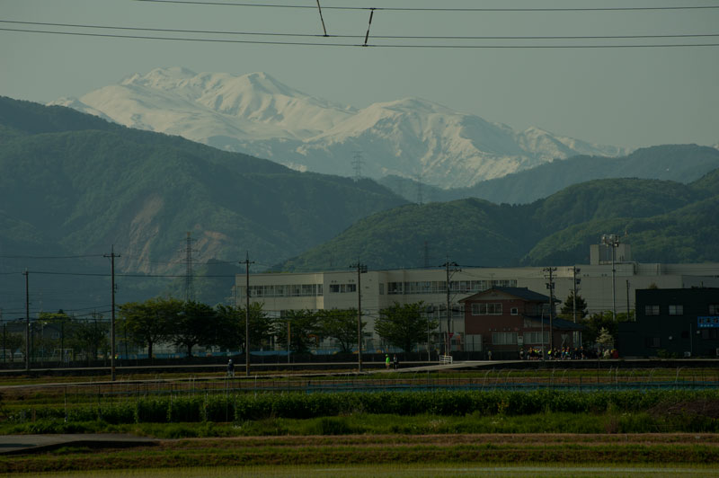 a0278914_1072470.jpg