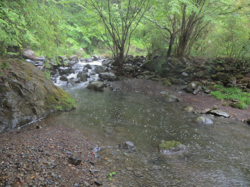 b0121015_14462788.jpg