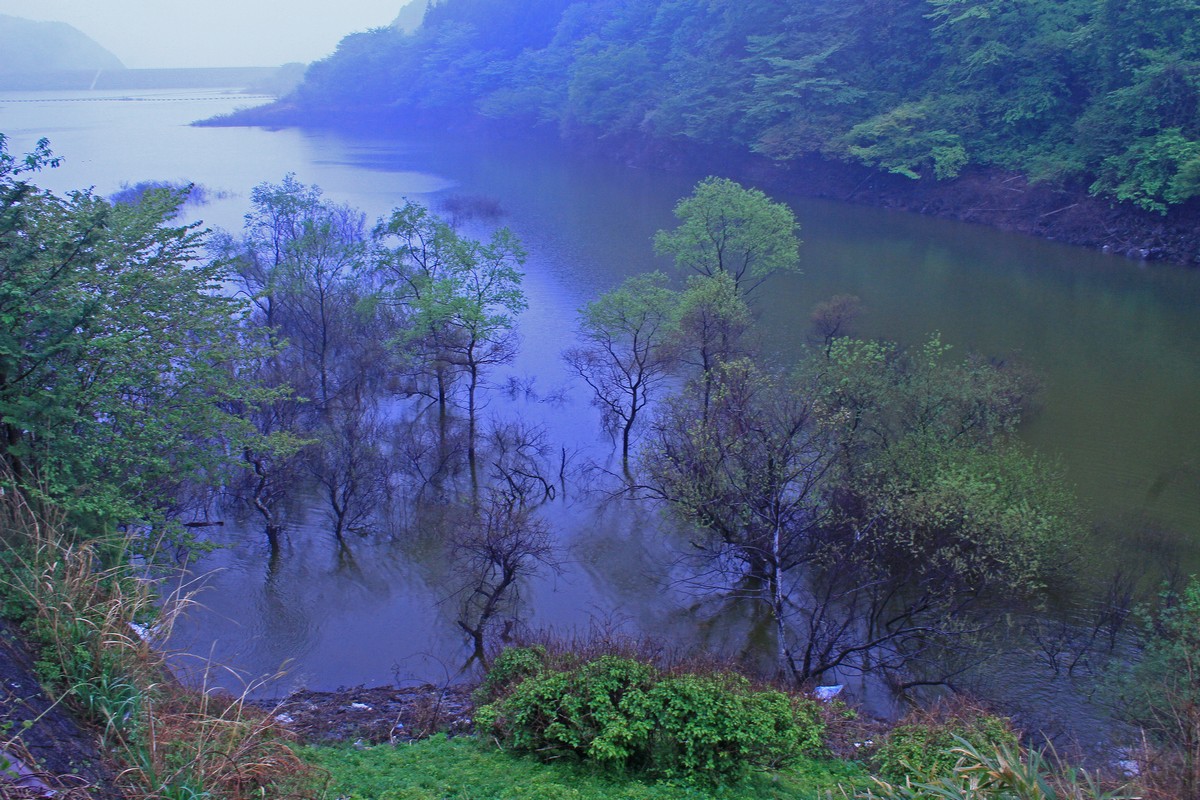 c0104227_0254618.jpg