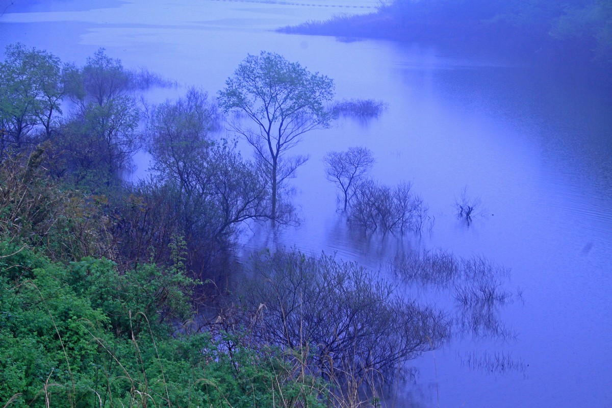 c0104227_189728.jpg