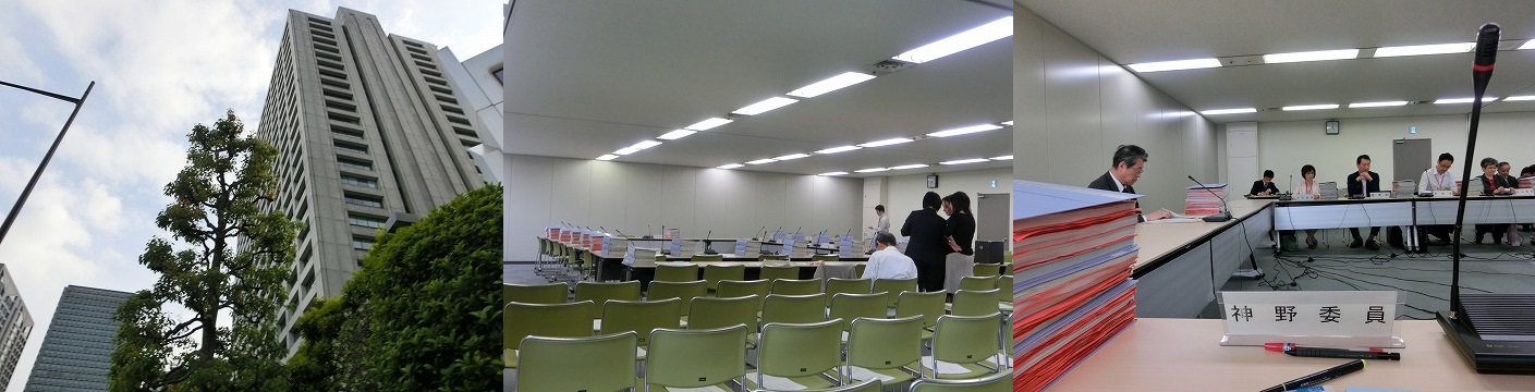 第32回チーム医療推進のための看護業務検討wgとinnovative Solutionは 神野正博のよもやま話