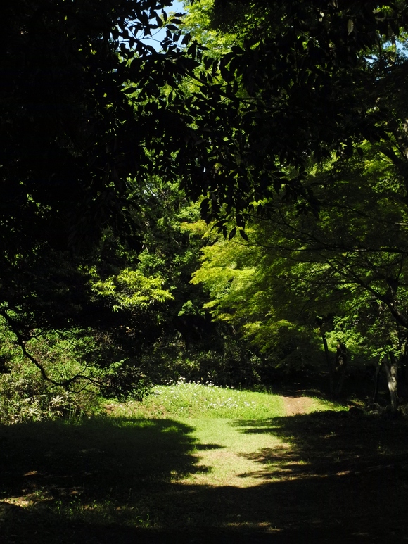 b0163129_0241330.jpg