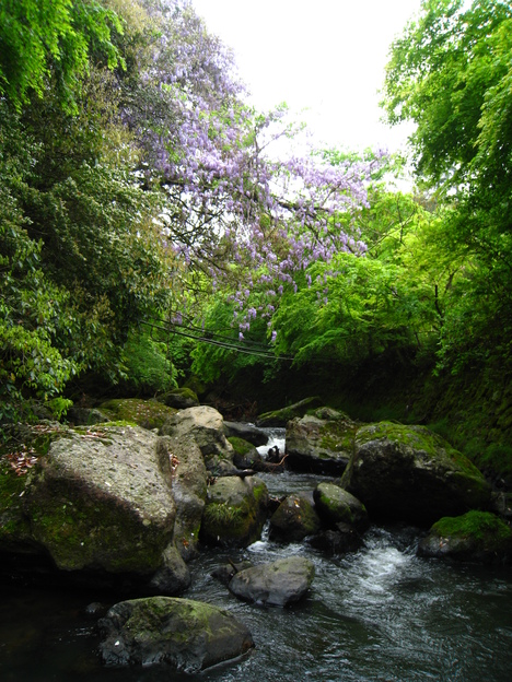 a0233432_2553670.jpg