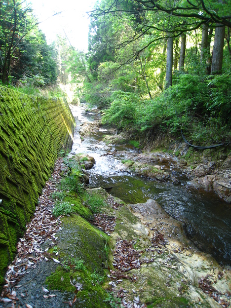 a0233432_256743.jpg
