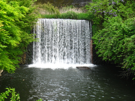 a0233432_3113765.jpg