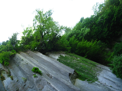 a0233432_312447.jpg