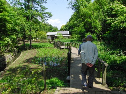外出レク ~ 森林浴 @鎌倉中央公園~_e0222340_17191522.jpg