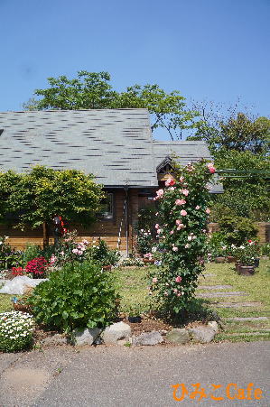 d0013645_1401967.jpg