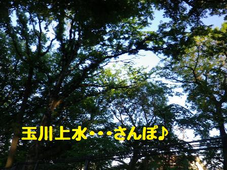 b0239151_124179.jpg