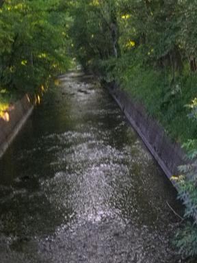 b0239151_12442332.jpg