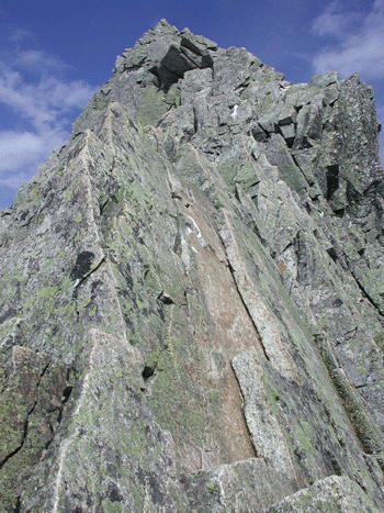a0044453_8503394.gif
