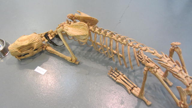 b0247153_3514751.jpg