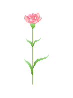 e0028056_718171.gif