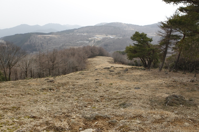 f0268259_2022947.jpg