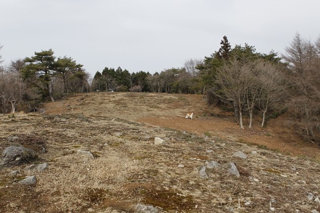 f0268259_2039493.jpg