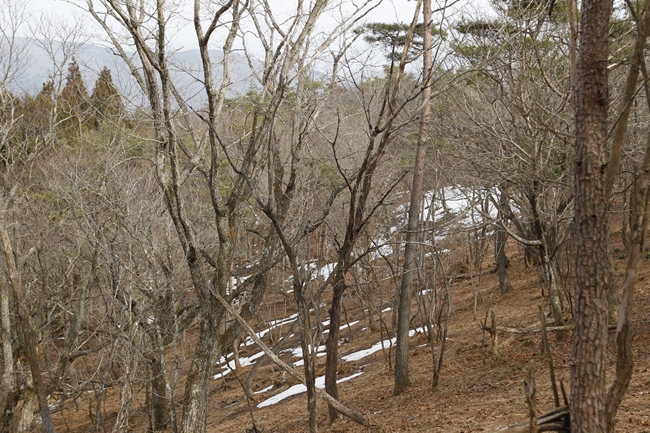 f0268259_20404869.jpg