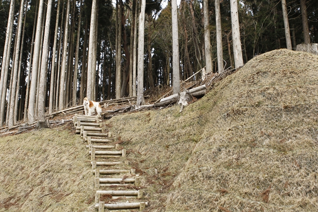 f0268259_2043303.jpg