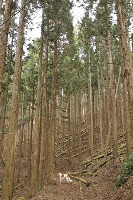 f0268259_20434778.jpg
