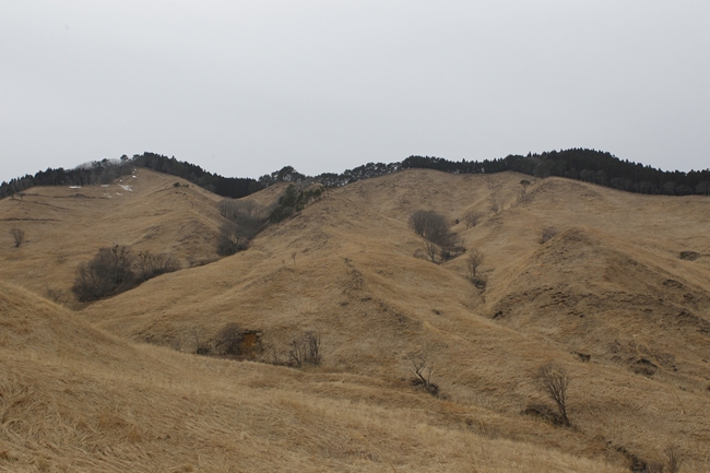 f0268259_20463110.jpg