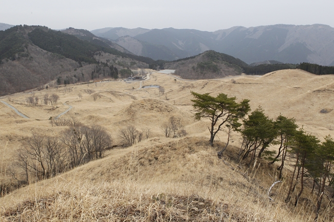 f0268259_20563199.jpg