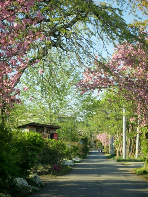 f0236260_014228.jpg