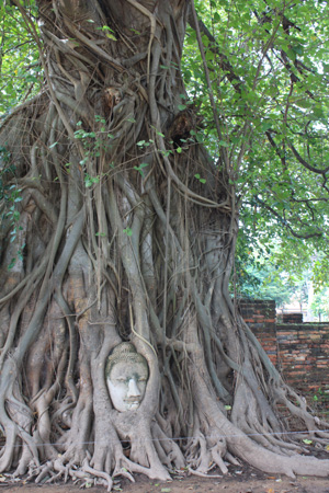 世界遺産・アユタヤ観光へ　　　　　　　　　　　　　BANGKOK_e0184067_11382361.jpg