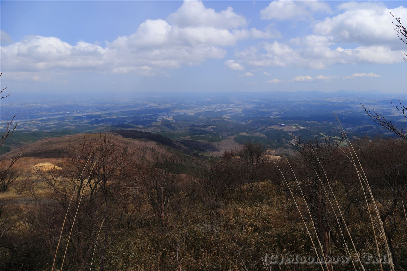 ■みつもち山　2013年4月27日(土)撮影_e0197769_5405051.jpg