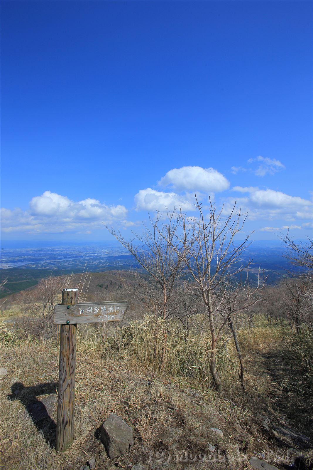 ■みつもち山　2013年4月27日(土)撮影_e0197769_5421331.jpg