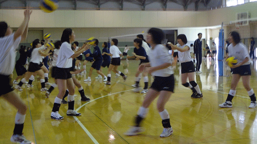 静岡_c0000970_16542334.gif