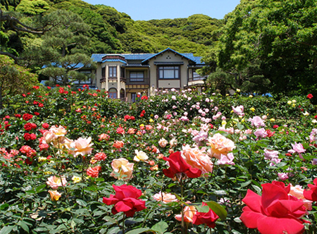 本日定休日 お花の季節。_a0145471_1020773.jpg