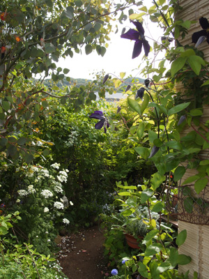 d0279976_176468.jpg