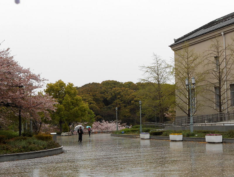 春の美術館めぐりー青春１８きっぷの旅その４ー_f0123576_23464714.jpg