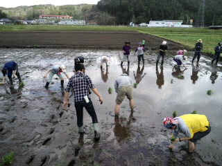 おら川内が好きだ!_d0027486_1112776.jpg