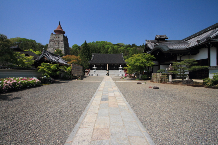 妙満寺_e0051888_559692.jpg