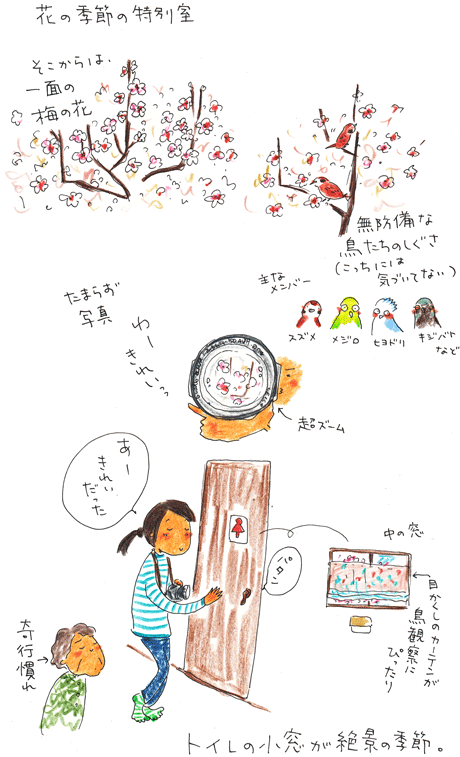 素敵な窓辺_f0236291_5472498.gif