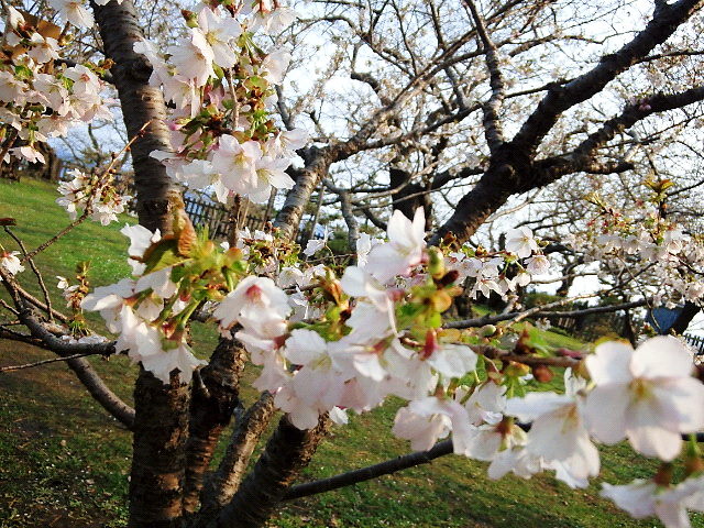 f0200795_16444739.jpg
